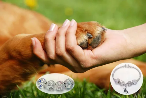Miniatura 5 de ENJOOOY Cuentas de plata de ley con estampado de pata de perro con cristales de circonita cúbica para pulseras de cuentas estilo Pandora