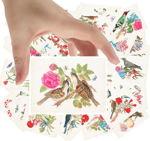 Miniatura 21 de Calcomanías grandes, 24 piezas (2.5 x 3.5 pulgadas cada una) pájaros, mariposas y flores, libro botánico antiguo, ilustración, postales vintage, Ocho