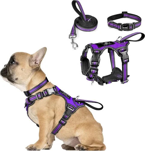 Miniatura 24 de WINSEE - Juego de arnés, collar y correa para mascotas, todo en uno, arnés reflectante para perros sin tirones con hebillas ajustables para Rojo