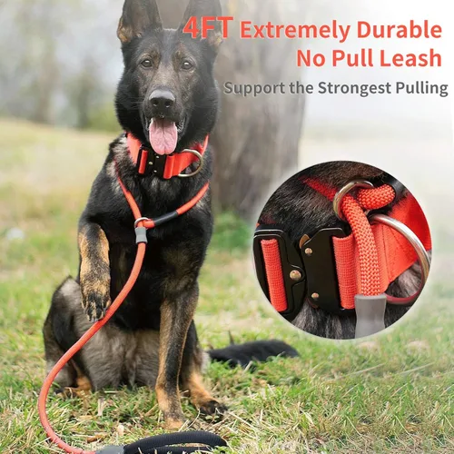 Miniatura 2 de Correa de Entrenamiento para Perros de Cuerda Deslizante Fuerte (4 pies) – Correa de Nylon Trenzado Resistente y Duradera con Tope de Goma y Mango