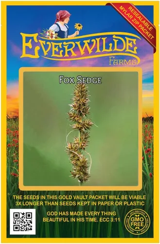 Everwilde Farms - 1000 semillas de hierba nativa Fox Sedge - Paquete de semillas jumbo Gold Vault