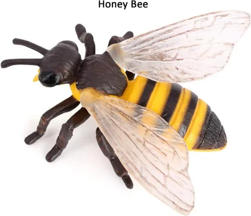 Miniatura 5 de Hvogvok Ciclo de Crecimiento de Abejas, Modelo Biológico del Ciclo de Crecimiento Animal, Conjunto de Modelo del Ciclo de Vida de Abeja Realista