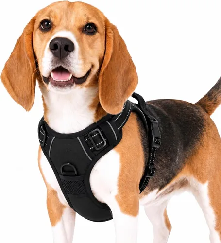 Miniatura 6 de Funfox Arnés para perro sin tirones, chaleco ajustable para mascotas con asa de control y clip frontal, diseño reflectante para perros pequeños
