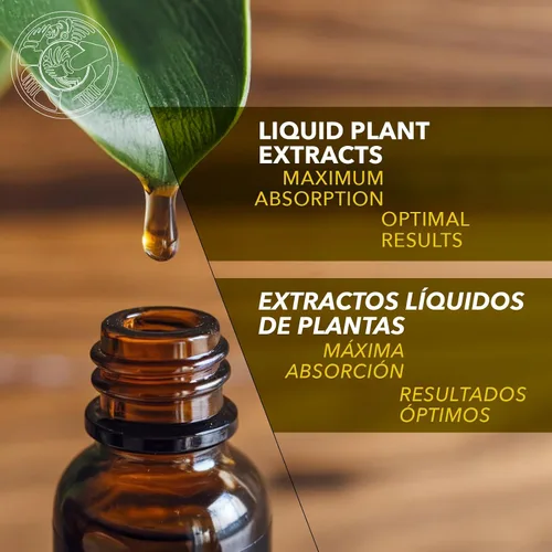 Miniatura 6 de Extracto de hierbas Cuachalalate 1 fl oz para apoyo digestivo