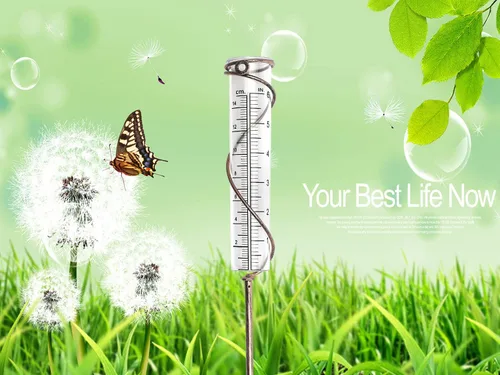 Miniatura 5 de BIUWING Tubo de repuesto para medidor de lluvia de 6 pulgadas para patio, jardín y hogar al aire libre, con cepillo de tubo, mejor calificado, 2