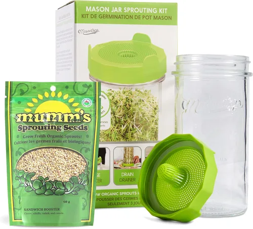 Masontops Mason Jar - Juego de iniciación de tarro de germinación de frijoles, kit de brotes de frijoles fácil de bricolaje con semillas orgánicas,