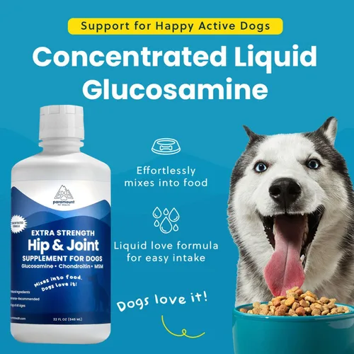Miniatura 3 de Paramount Pet Health Glucosamina concentrada totalmente natural para perros grandes – 5200 mg de glucosamina condroitina para perros – Suplemento