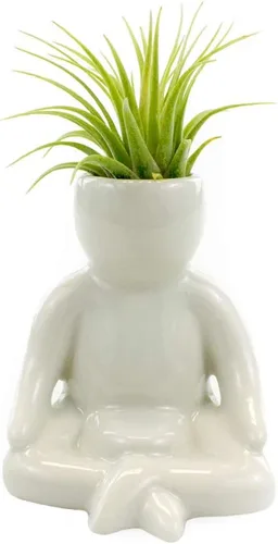 Miniatura 10 de NW Wholesaler Maceta de cerámica blanca con forma de persona feliz de 3.25 pulgadas con planta de aire Tillandsia viva, plantas de aire
