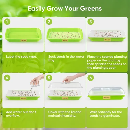 Miniatura 5 de Paquete de 6 bandejas de germinación de semillas verdes con tapa, bandeja de germinación de cultivo sin tierra, bandeja de vivero con papel