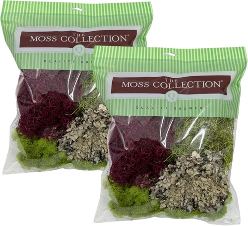 Miniatura 9 de Quality Growers - Paquete variado de la colección Moss - Musgo decorativo natural - Manualidades, decoración del hogar, proyectos de arte, diseño
