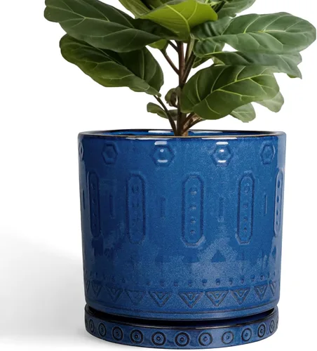 Eightpot Maceta de 12 Pulgadas para Plantas - Maceta de Cerámica para Plantas de Interior Maceta Grande para Plantas con Agujeros de Drenaje y Azul