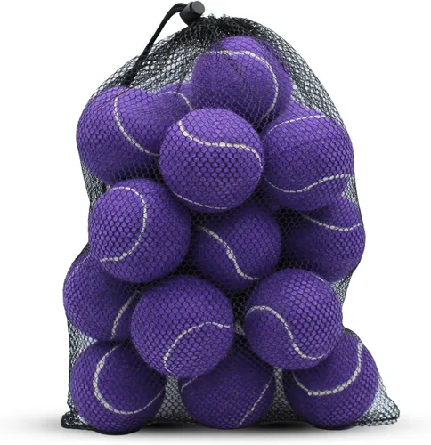 SHYUJAJIE Tennis Balls, 20 Pack Training Tennis Balls,High Elasticity Practice Tennis for Beginner, Exercise Playing Balls for Pet Dog Púrpura