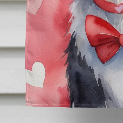 Miniatura 4 de Caroline's Treasures DAC5292CHF - Bandera de Border Collie My Valentine House para porche, grande, con manga para porche, para colgar en la pared