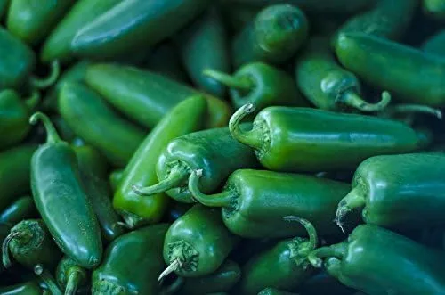 Miniatura 2 de Pimienta caliente Jalapeno Semillas de hortalizas de M Great Heirloom por semillas Unido