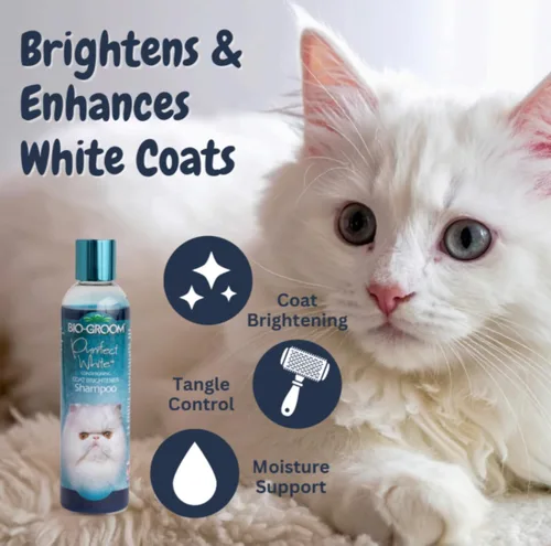 Miniatura 2 de Bio-Groom Purrfect White Cat Shampoo - Champú para mascotas que mejora el color, suministros de baño para gatos, lavado de gatitos, suministros