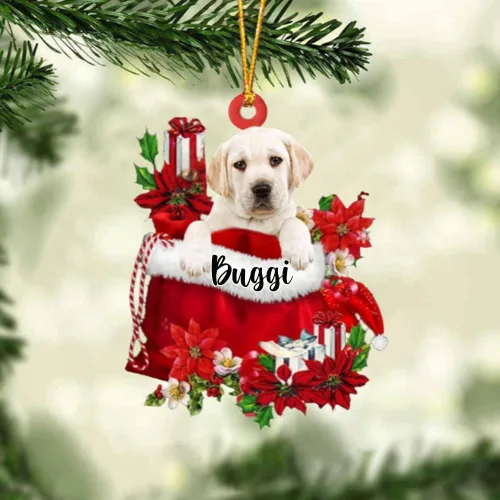 Miniatura 43 de Perro Akita Inu personalizado en bolsa de regalo, adorno de Navidad, nombre personalizado, regalo para amantes de los perros, familia, Navidad