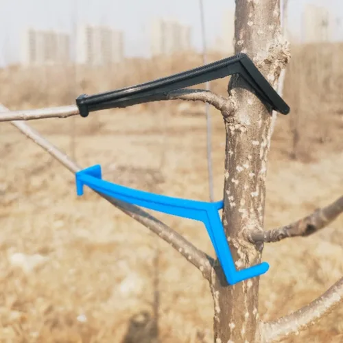 Cunguv Esparcidores de árboles frutales Esparcidores de ramas de árbol frutal, 30 piezas, esparcidores de ramas de manzano para empujar ramas para