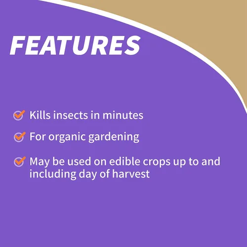 Miniatura 6 de Bonide Jabón insecticida, 32 onzas en aerosol listo para usar, control de insectos multiusos para jardinería orgánica en interiores y exteriores
