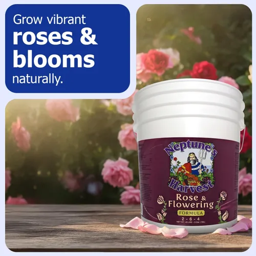Miniatura 2 de Neptune's Harvest Fertilizante de rosas y flores (2-6-4) - Cubo de 5 galones - Alimento líquido orgánico para flores vibrantes y crecimiento