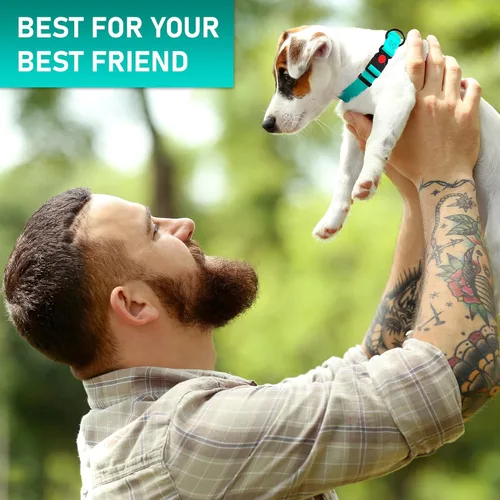 Miniatura 7 de Collar de perro ajustable con código QR identificación adjunta, fabricado en Estados Unidos, collar de perro resistente al agua con hebilla