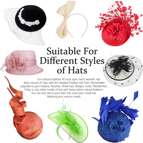 Miniatura 3 de Plumas de sombrero 10 estilos naturales surtidos de plumas para sombreros Fedora, accesorios para manualidades, sombreros de vaquero occidental