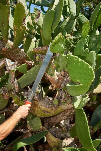 Miniatura 4 de Corona Tools MA 60062 ErgoHandle Machete, 22 pulgadas, plateado