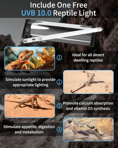 Miniatura 9 de LUCKY HERP Kit Combo de Lámpara UVB T5 de 8W para Reptiles (Nueva Actualización), Luz UVB 10.0 para Reptiles y Anfibios, Lámpara de Calentamiento