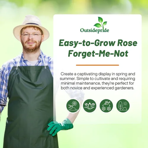 Miniatura 5 de Outsidepride 5000 semillas perennes Myosotis Alpestris Forget-Me-Not Rose Garden Semillas de flores para plantar