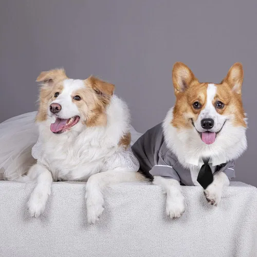 Miniatura 4 de Collar ajustable para perros pequeños, medianos y grandes, corbata de cumpleaños para perros (mediano, cuadros rojos/negros)