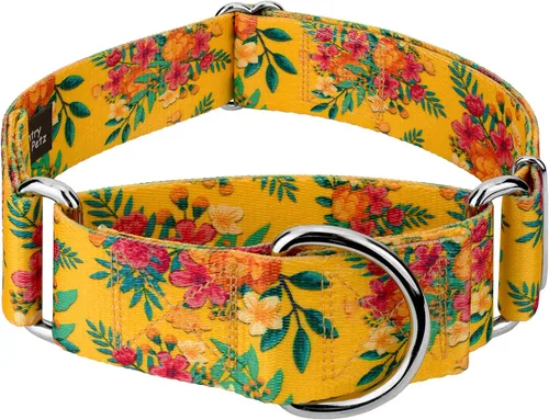 Miniatura 14 de Country Brook Petz HossFit Jr - Collar ancho Martingala para perro, colección Summer Breeze con diseños soleados (Anchors Away, M)
