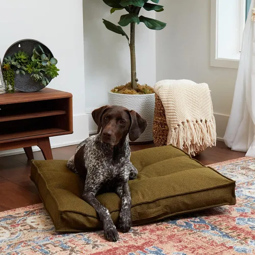 Miniatura 3 de Happy Hounds Milo - Cama cuadrada copetuda para perro, musgo, mediano (32 x 32 pulgadas)