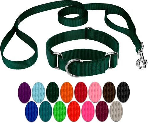 Miniatura 11 de Country Brook Petz - Collar para perro de nailon resistente Martingala azul hielo y correa de doble asa (1 pulgada, grande)