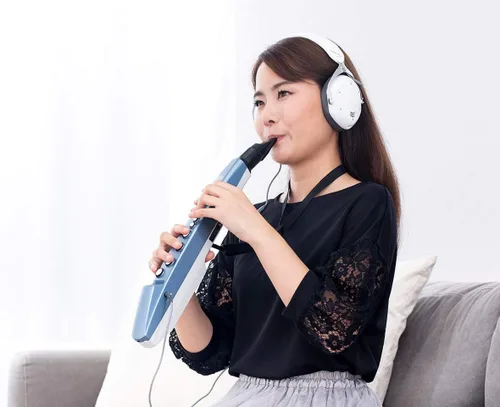 Miniatura 10 de Roland Aerophone AE-01 Mini Instrumento de Viento Digital