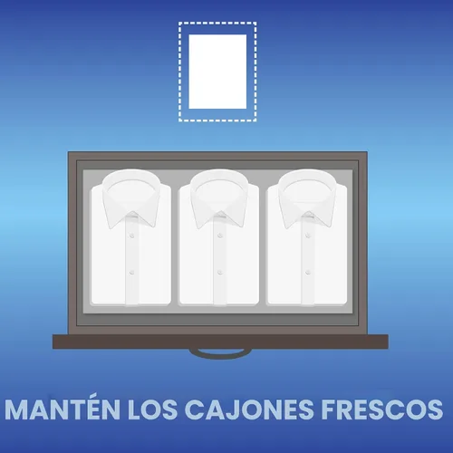 Miniatura 8 de ARM & HAMMER Hojas suavizantes de tela, lluvia de montaña 144ct