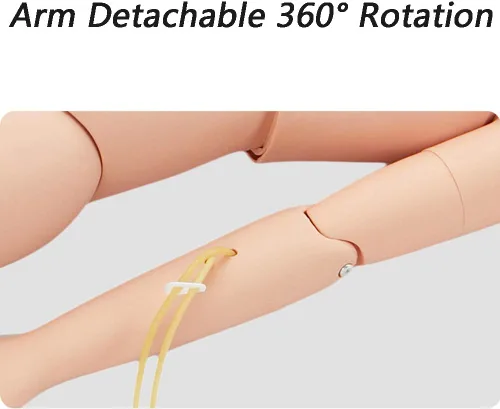 Miniatura 5 de Maniquí de entrenamiento de habilidades de enfermería, cuidado del paciente, tamaño real, 67 pulgadas, maniquí de cuerpo completo para enfermería
