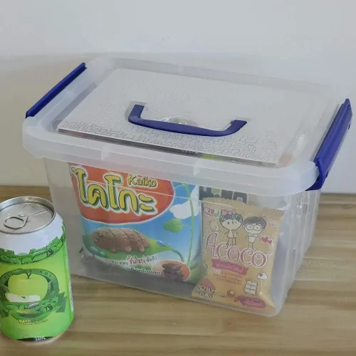 Miniatura 5 de Caja de almacenamiento transparente con tapa, cajas de plástico pequeñas de 6 litros, juego de 6