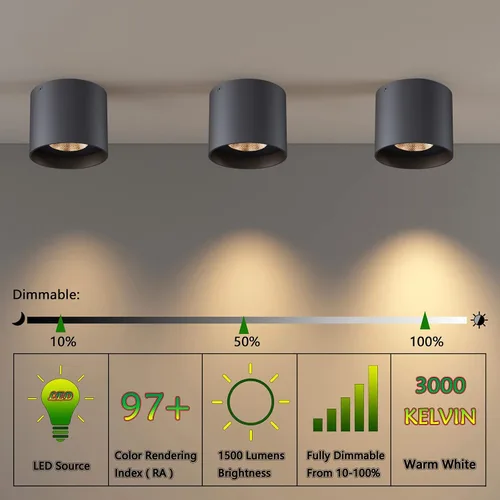 Miniatura 7 de Lámpara de Techo, Luces de Techo de Montaje al Ras LED Regulables Luz de Techo Cilíndrica Luz Puntual para Sala de Estar Pasillo Cocina Comedor