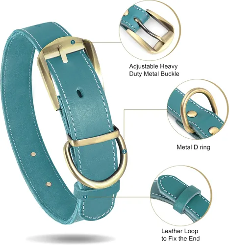 Miniatura 3 de Didog Collares de perro de cuero genuino con placa de identificación grabada, collar de perro de cuero suave personalizado con etiqueta de Azul