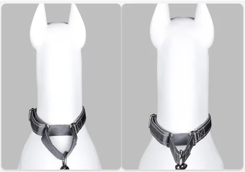 Collares ajustables para perros de entrenamiento de seguridad Martingala, de neopreno suave y acolchado, de nailon transpirable, para perros