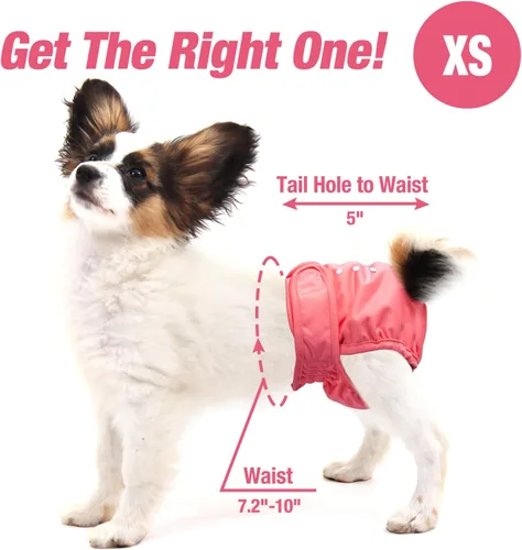 Miniatura 4 de Pet Soft Pañales lavables para hembra (paquete de 3) pañales para perras, cómodos pañales reutilizables para perritos en calor de época (fuerte, XS)