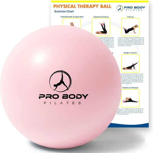 ProBody Pilates Bolas de Ejercicio para Terapia Física - Pequeña Bola de Ejercicio de 9 Pulgadas para Entre las Rodillas para Rehabilitación, Barra,