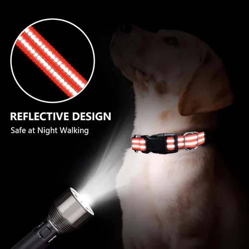 Miniatura 2 de Martingale - Collar para perro, collar reflectante ajustable de nailon con hebilla de liberación rápida (naranja brillante, talla M)