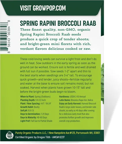 Miniatura 3 de Semillas de brócoli raab orgánico (Rapini de primavera) - Aprox. 750 semillas - Orgánico USDA, sin OMG, polinización abierta, variedad autóctona