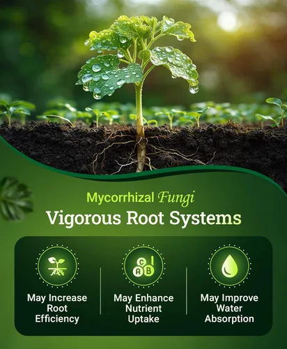 Miniatura 3 de Fox Farm Happy Frog - Fertilizante de frutas y flores, mezcla orgánica para frutas abundantes y flores vibrantes, fertilizante de fósforo con hongos