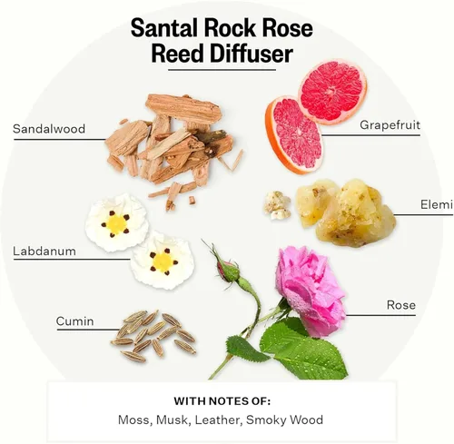 Miniatura 3 de Apotheke Difusor de varillas perfumado de lujo para el hogar, Santal Rock Rose - Aromaterapia de aceite esencial de 6.7 onzas líquidas - Difusor