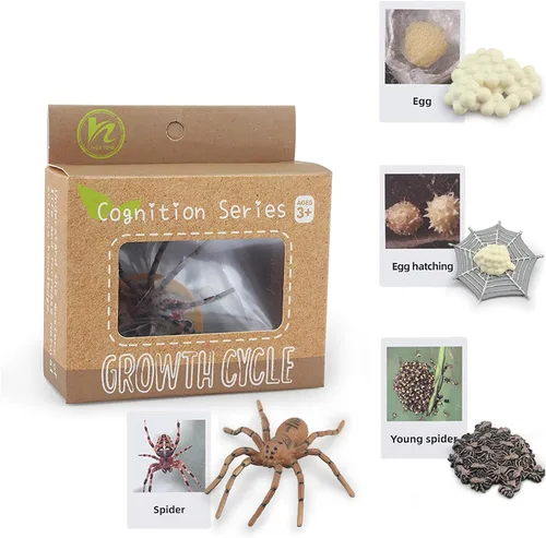 Miniatura 10 de Montessori Life Cycle Animal Insect Figurines Juguetes de aprendizaje y educación, juguetes de insectos de plástico para niños, actividades