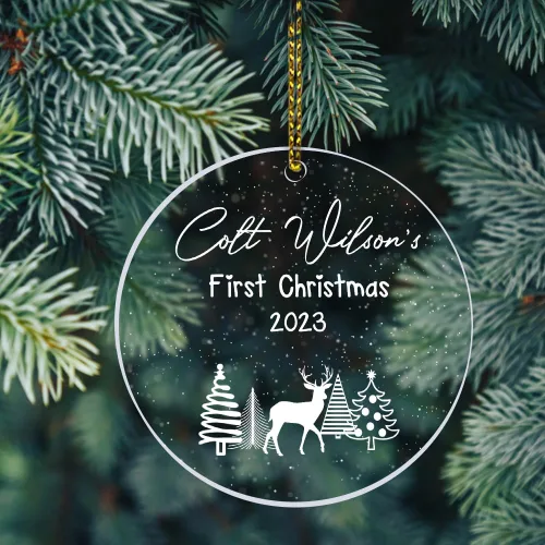 Miniatura 18 de Adornos personalizados de primera Navidad para bebés 2023, adorno del desierto de cactus, adorno de la primera Navidad del bebé, adornos Bebé 16