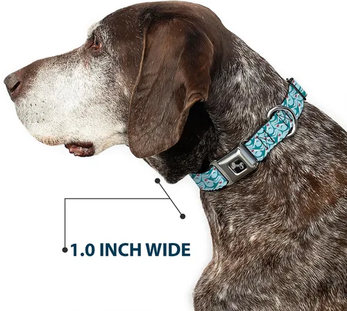 Miniatura 6 de Collar de perro hebilla de cinturón de seguridad tiburón 3 filas azul claro 9 a 15 pulgadas 1.0 pulgadas de ancho, multicolor