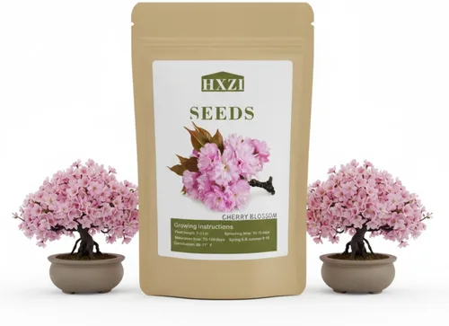 Semillas de flor de cerezo japonés, semillas de bonsái, paquete de 30 semillas de árbol bonsái