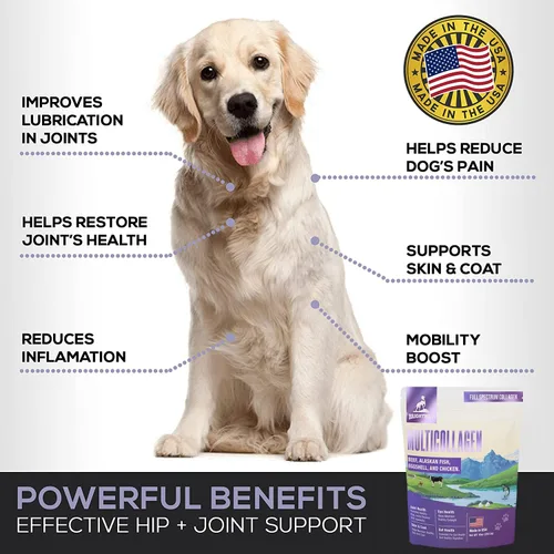 Miniatura 6 de Péptido multicolágeno colágeno líquido diario para perros, colágeno de perro, membrana en polvo de cáscara de huevo para perros - artritis, salud